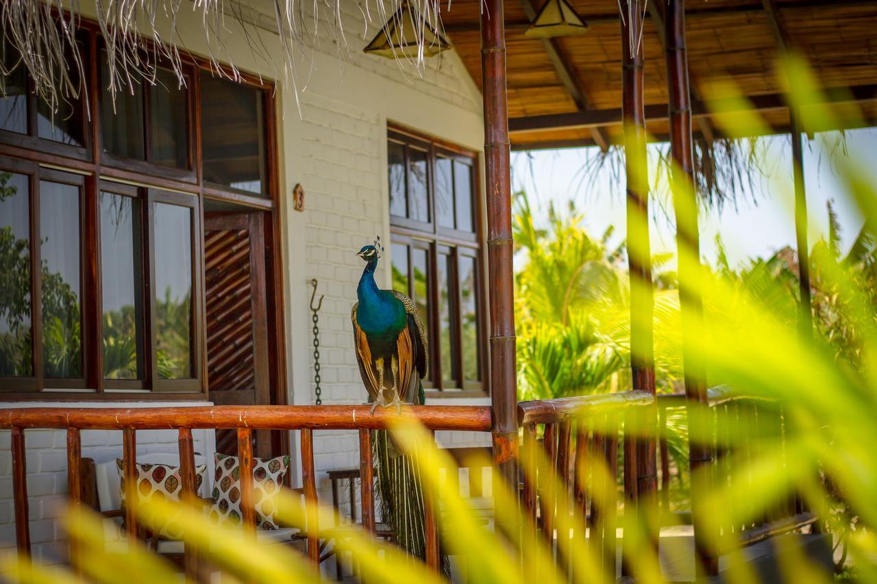 La Choza Bungalows Tambo Grande Buitenkant foto